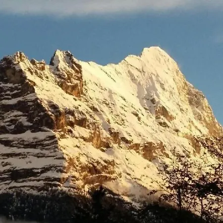 Burgenerszaun 6 Bett Grindelwald